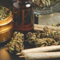 What Are the Long-Term Side Effects of Taking CBD? A Comprehensive Guide