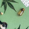 Everything You Need to Know About CBD for Pets