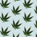 Who are the leaders in the cbd industry?