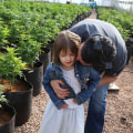 Is cbd safe for 13 year old?