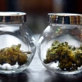 Can cbd trigger psychosis?