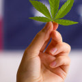What States Allow CBD and How to Buy It Legally
