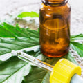 Where is CBD Legal in the US? A Comprehensive Guide to Understanding Regulations