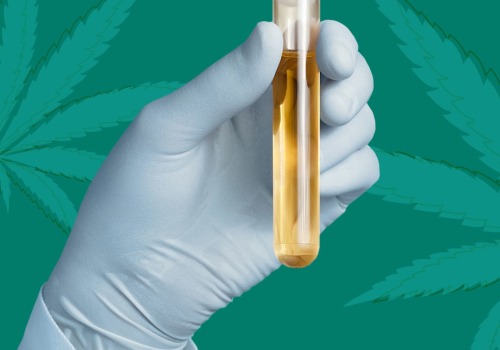 Will CBD Show Up on a Drug Test?