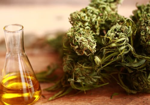 The Benefits of Taking CBD Oil Everyday: An Expert's Perspective